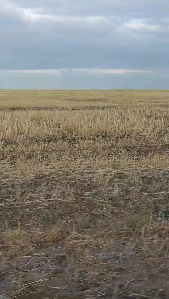 中亚哈萨克斯坦国 105万亩旱田地转让 种植面积45万亩